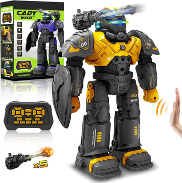 CADY WILLO RC Robot